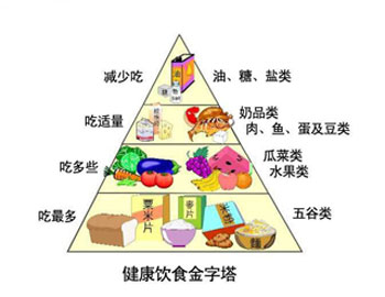 饮食结构图.jpg