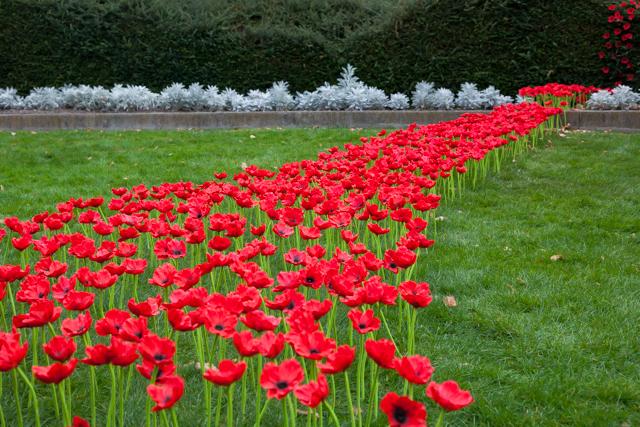 2015.04.21_ANZAC Day Centenary Planting Poppies_12.jpg
