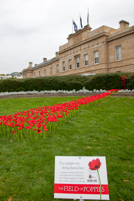 2015.04.21_ANZAC Day Centenary Planting Poppies_14.jpg